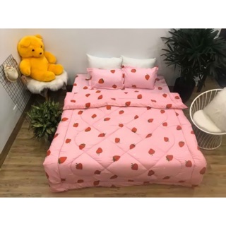 Trọn bộ 5 món chăn phao ga gối poly như hình được chọn mẫu chăn chăn phao chăn ga gối poly l ga gối