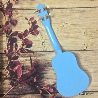 UKULELE SOPRANO DOREMON 21INCH