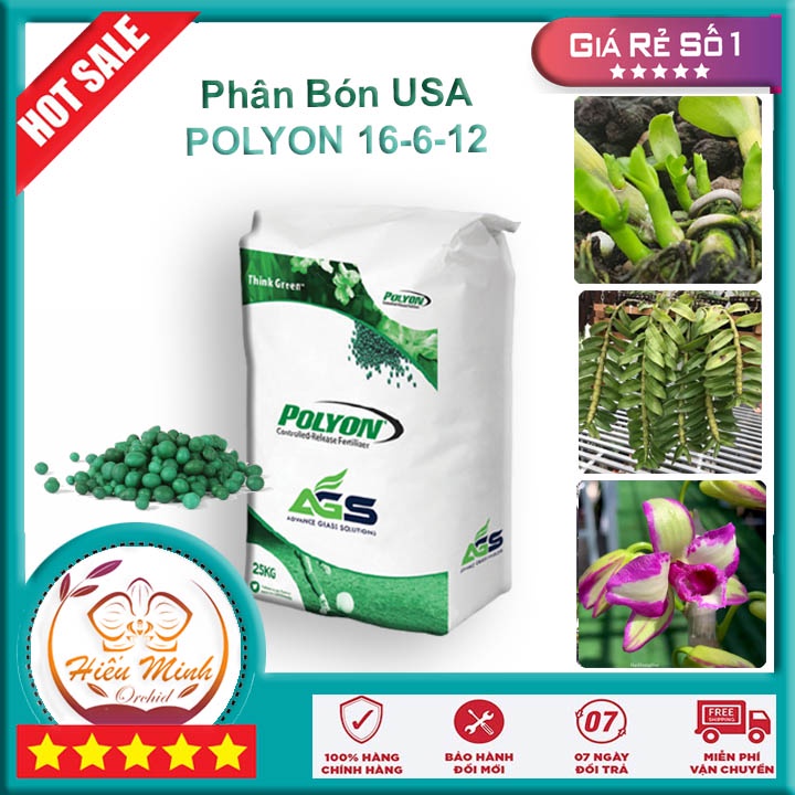 Polyon 16-6-12 Phân bón NPK Xanh Mỹ Tan Chậm