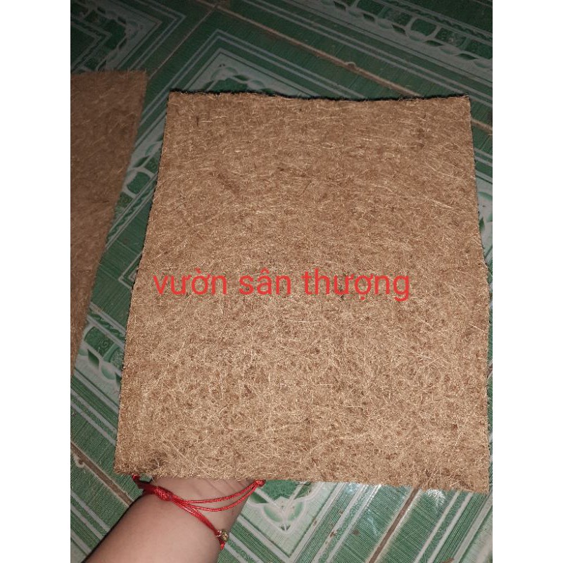 1 Miếng Xơ Dừa Tấm 20x20cm, Trồng Lan, Cây, Ươm Cây Con, Thân Thiện Môi Trường