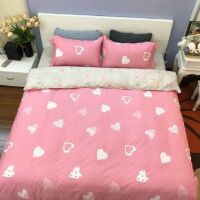 Bộ chăn ga gối cotton 100%