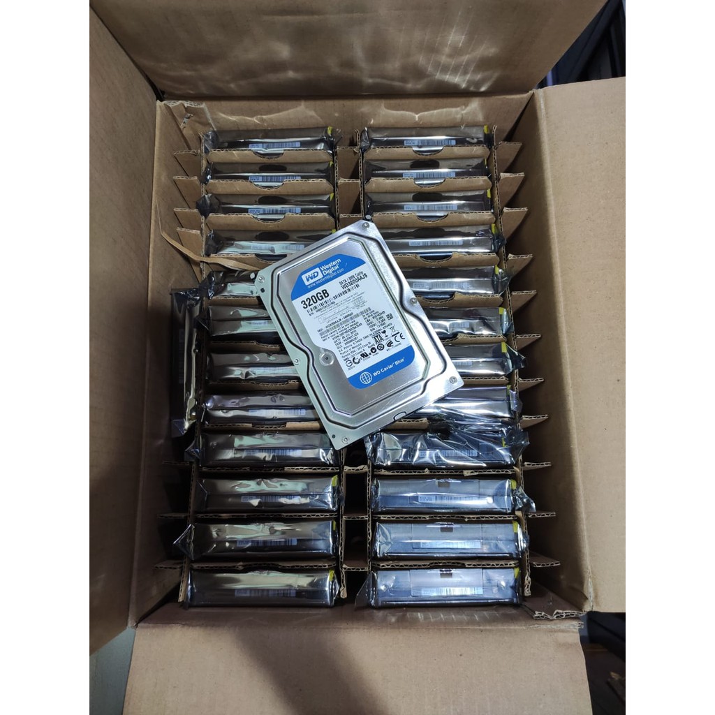 Ổ Cứng Hdd 320 Gb Wd 3.5 "caviar Blue 1 | BigBuy360 - bigbuy360.vn