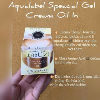 Kem dưỡng ẩm, chống lão hóa ban đêm Shiseido Aqualabel Special Gel Cream OilIn 90gr
