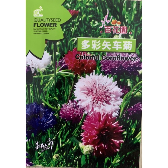 Hạt giống Hoa Thanh Cúc (hoa ngô) Nhập Khẩu nguyên bao bì - 100 Hạt