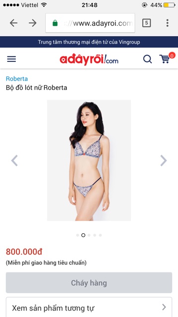 Bộ đồ lót B032 Roberta không gọng, ren không mút