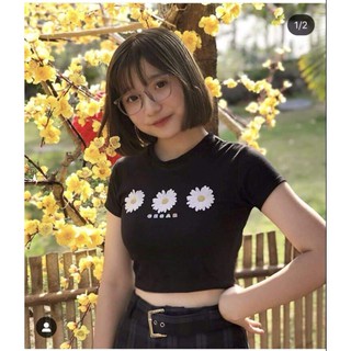 Áo Thun Croptop Phối Hình 3 Hoa Cúc Trắng Đơn Giản Dễ Thương EVA AO 10150