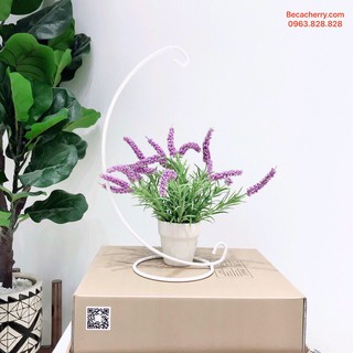 Giá Treo Bể Cá Mini C33