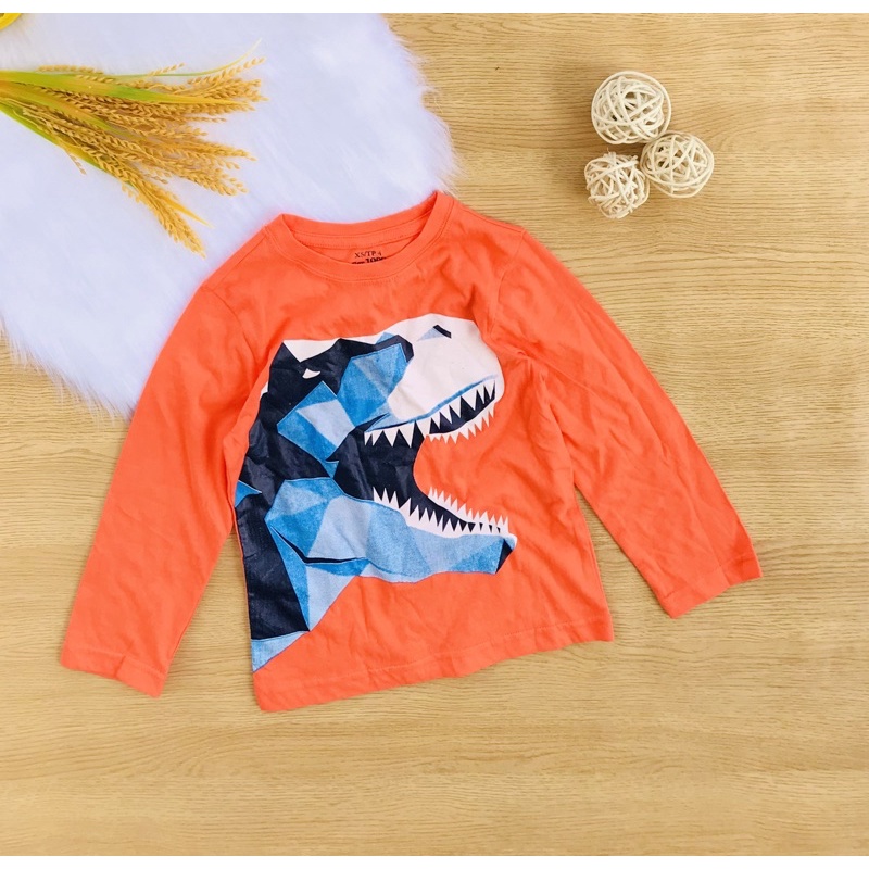 ☄️☄️ Áo thun cotton  xuất dư  dài tay bé trai từ 17-50kg