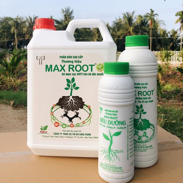 [500ml] MAX ROOT - Kích bung đọt, kích rễ cây cực mạnh phục hồi cho cây trồng