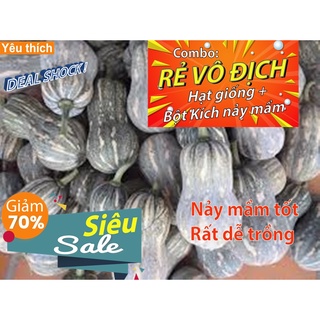 [Combo rẻ vô địch HẠT GIỐNG + GÓI HỖ TRỢ NẢY MẦM] - 3 HẠT GIỐNG BÍ ĐỎ HỒ LÔ