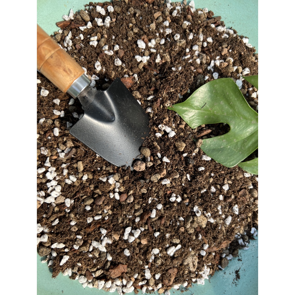 ĐẤT TRỒNG SEN ĐÁ, XƯƠNG RỒNG TRỘN SẴN SOIL MIX - GÁC MÁI SEN