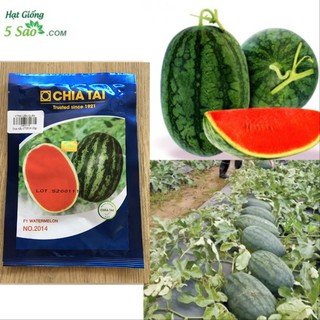Hạt Giống Dưa Hấu F1 - 2014 ( 20gr )