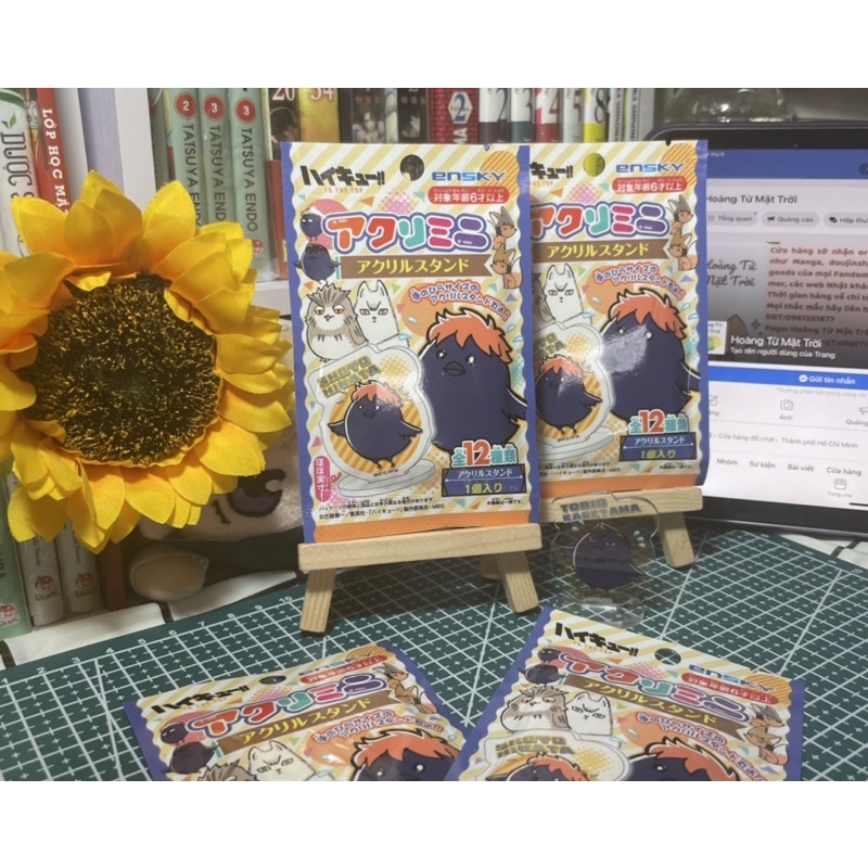 Pack Random standee Haikyuu!!