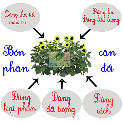 Chế Phẩm Vi Sinh Phục Hồi Cây, Thối Rễ - Vàng Lá Sinh Lý - Thối Củ, Giải Độc Đất - Thuốc BVTV, Ra Rễ - Xanh Cây- 1kg