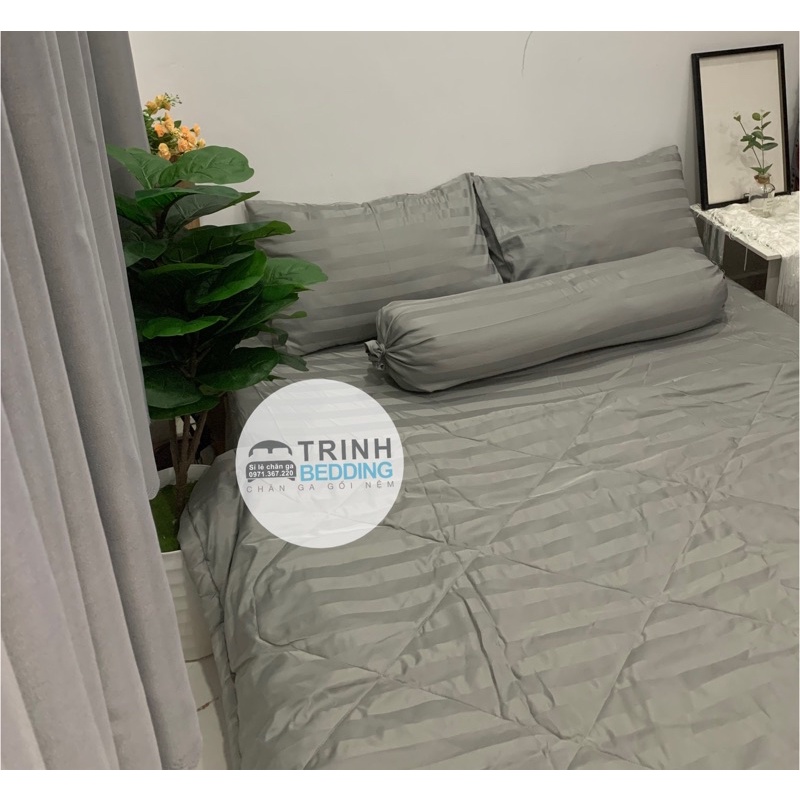 BỘ DRAP COTTON  Khách Sạn hàng độ sợi dày loại 1 nhiều màu Kèm Mền)