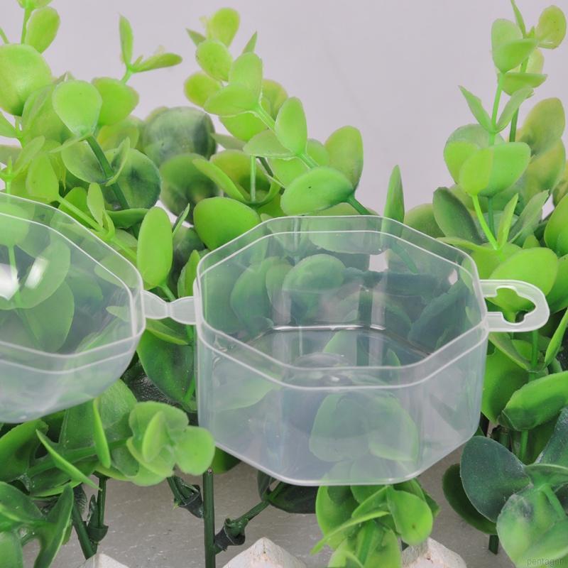 Hộp Đựng Núm Vú Giả Cho Bé Bằng Nhựa Trong Suốt