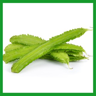 Hạt giống Đậu Rồng