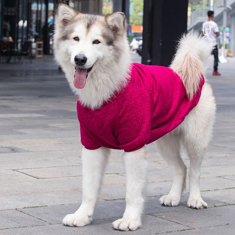 Áo khoác hoodie cỡ lớn màu trơn thiết kế đơn giản cho thú cưng