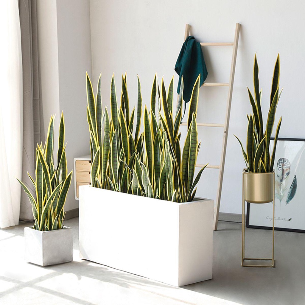 HARRIETT Lá Sansevieria Giả Nhiệt Đới Trang Trí Văn Phòng / Trong Nhà / Ngoài Trời DIY