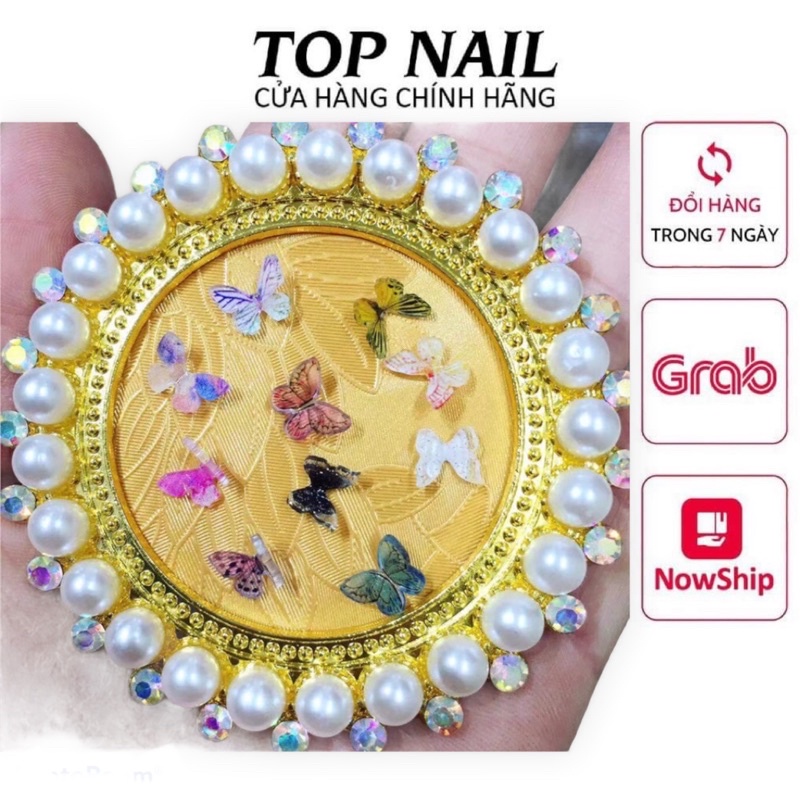 Set 10 hình bướm trang trí móng nail