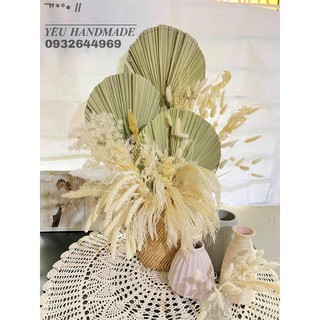 Lá Cọ _ Bông Lau Decor