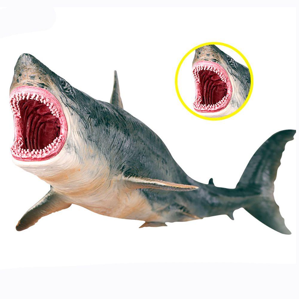 Mô Hình Megalodon Cầu Vồng Đồ Chơi Giáo Dục Sớm Cho Bé