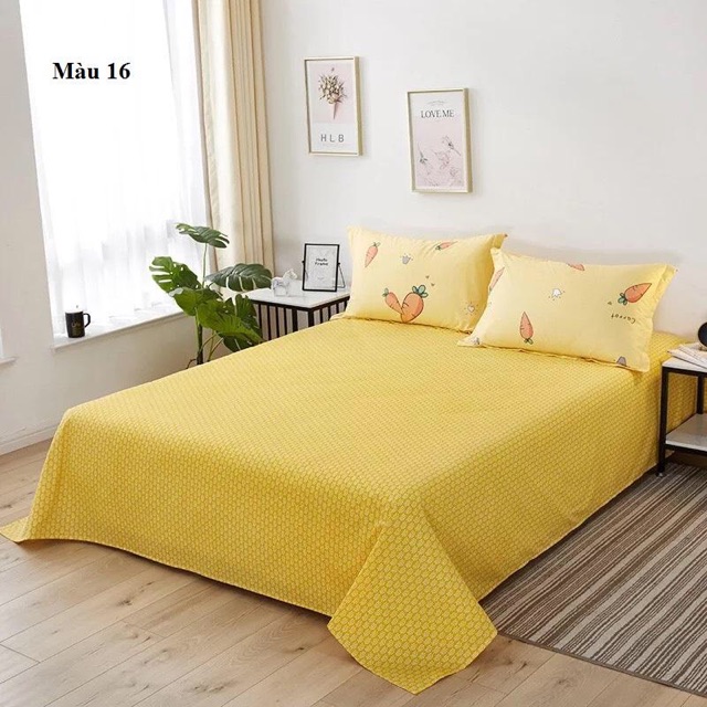Vỏ gối cotton cao cấp hàng nhập 48*74cm (2 cái)