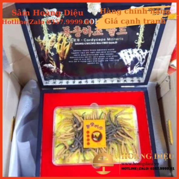 Sâm Hoàng Diệu - ĐÔNG TRÙNG HẠ THẢO NGUYÊN CON HÀN QUỐC HỘP GỖ 45g