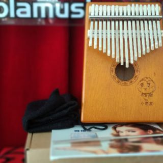 Đàn Kalimba Full Box 17 Phím Âm Chuẩn