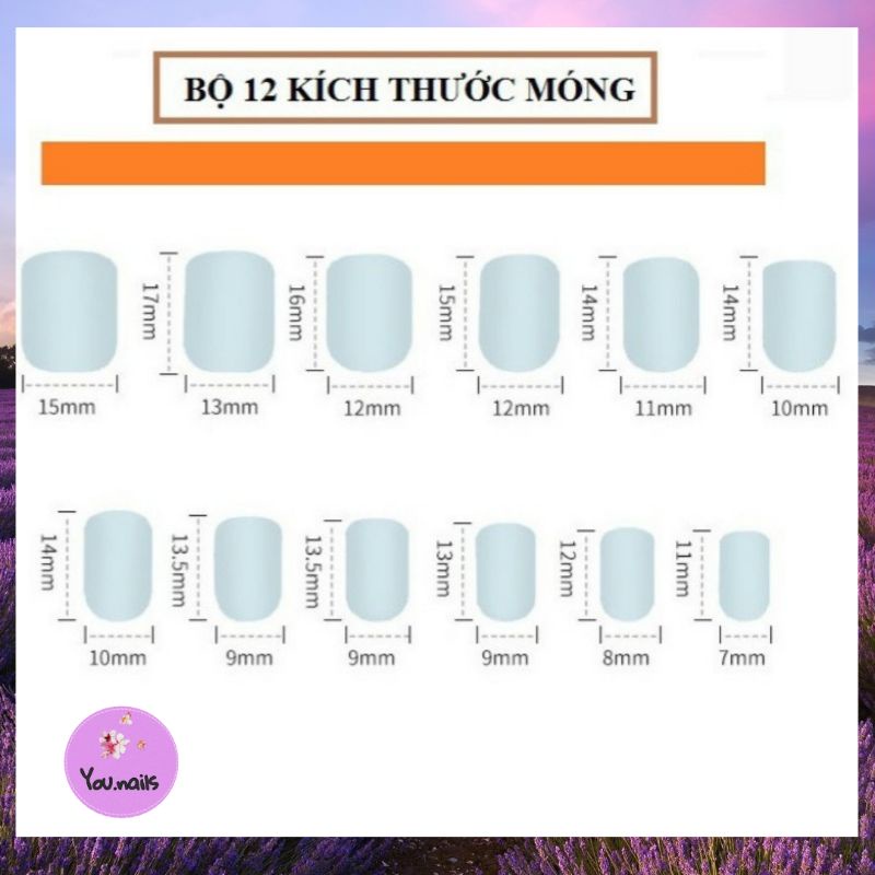 Móng chân giả kèm keo YOU NAILS (F01-F12)