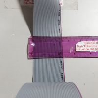 10m Dây cáp bẹ 10p. 95k