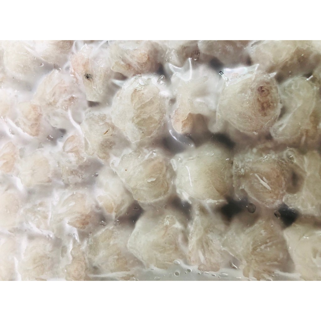 1kg há cảo thịt thơm ngon