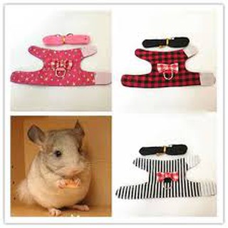 áo cho chuột hamster