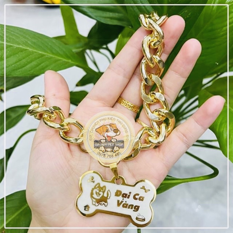 (Combo) Thẻ Tên Chó Mèo - Bảng Tên Chó Mèo, Pettag Kèm Vòng Cổ giahuypetshop