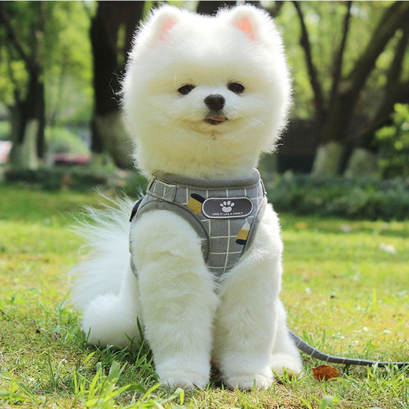 Dây Dắt Thú Cưng Đi Dạo Thoáng Khí In Họa Tiết Caro Phản Quang Thời Trang