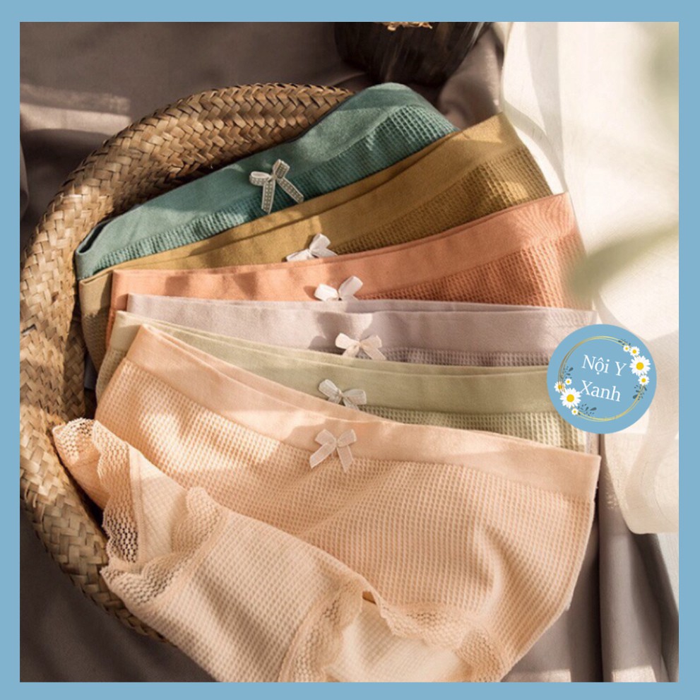 Quần Lót Cotton Thông Hơi Co Giãn 4 Chiều Sợi Bông Viền Ren Cao Cấp 3312 nội y xanh chất đẹp