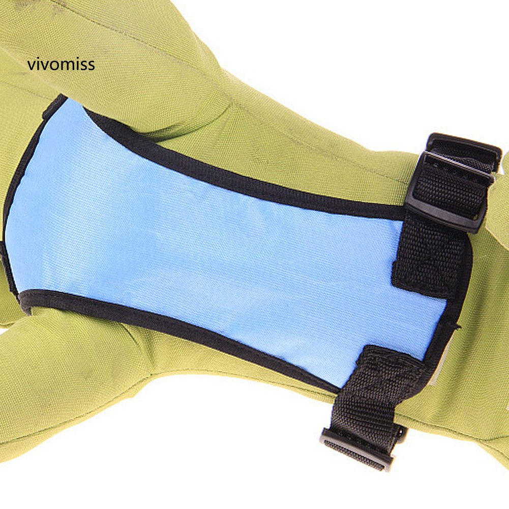 Bộ Yếm Lưới + Dây Dắt Thú Cưng Đi Dạo