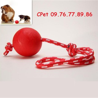 Bóng cao su có dây huấn luyện chó