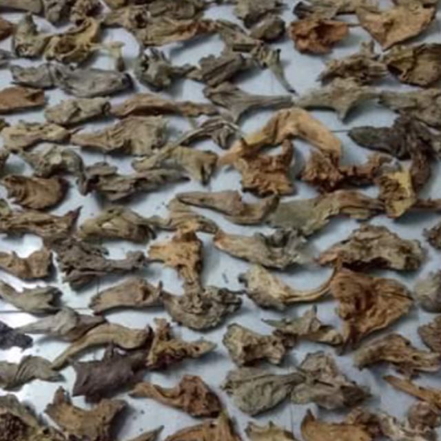 Lũa thủy sinh - Khúc lũa trang trí bể cá, tiểu cảnh