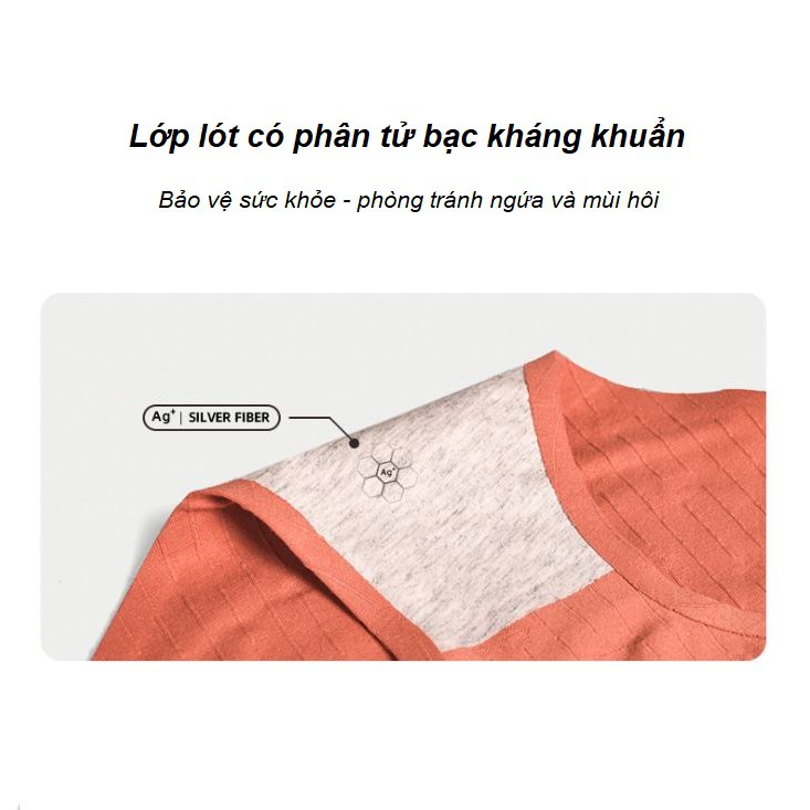 Quần Lót Cotton Kháng Khuẩn Giấu Viền Cạp Chéo P157