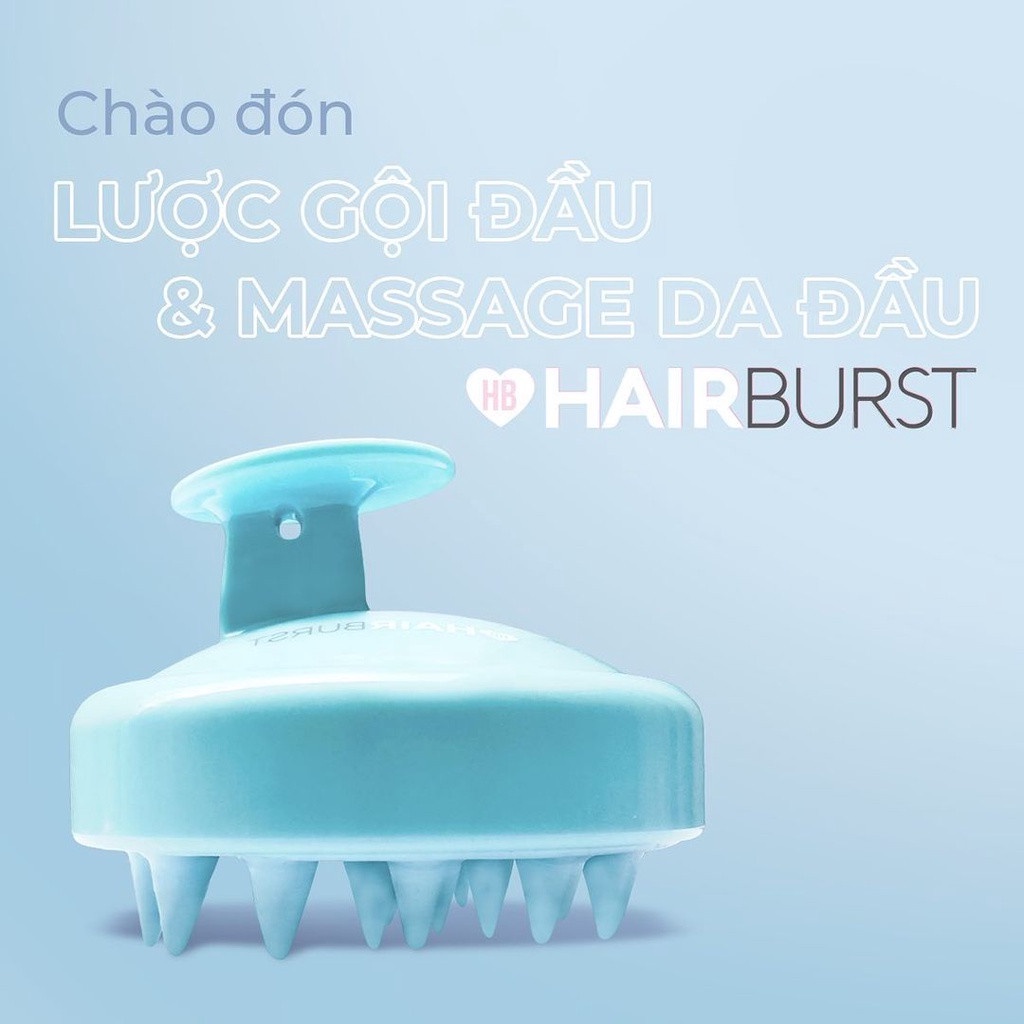 Lược gội đầu và massage da đầu kích thích mọc tóc Hairburst