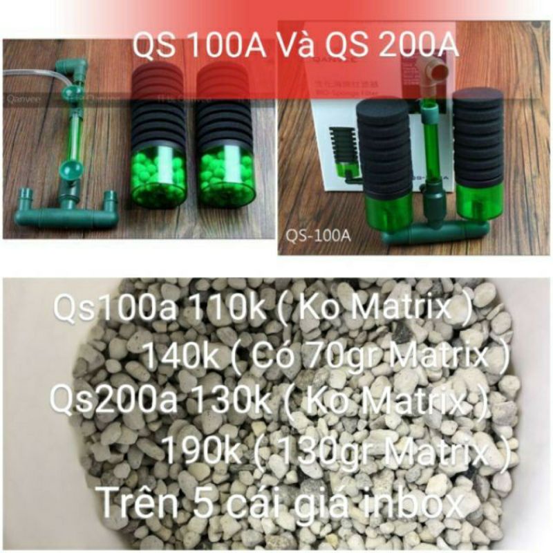 Lọc Hồ Tép , Vi Sinh Qs100a, Qs200a Full matrix- Milo Guppy