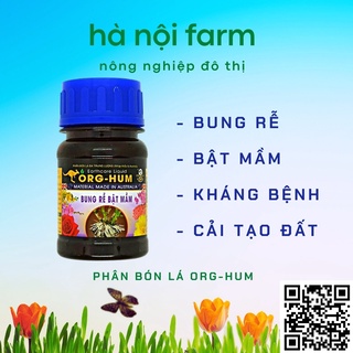 Org hum - bung rễ, bật mầm
