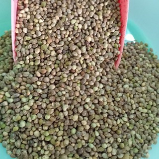 100g hạt láng tròn cho chim vẹt, gà , hamster