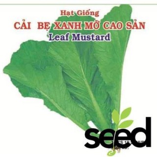 Giống Cải Bẹ Xanh Mỡ Phú Nông 50gr