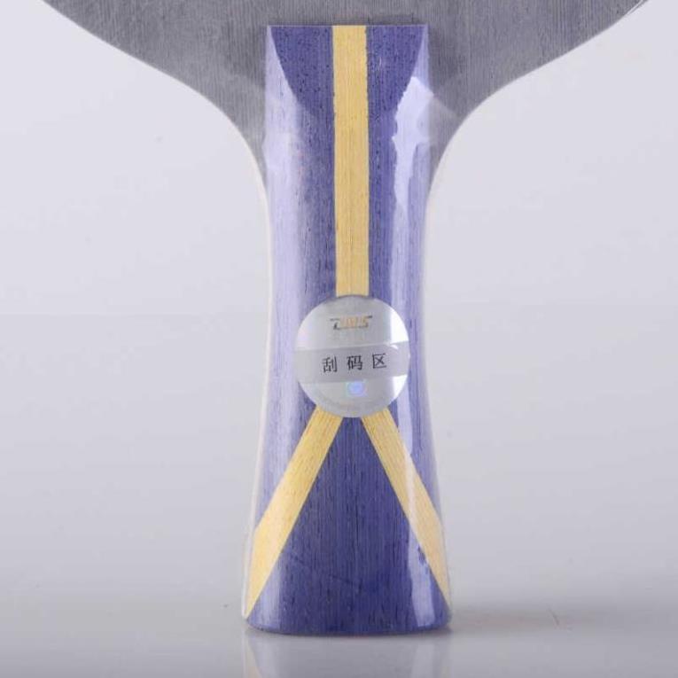 Cốt Vợt Bóng Bàn DHS 301