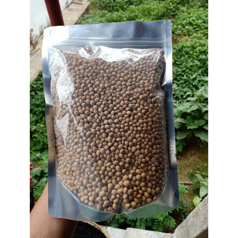 Đậu Nành giống cũ, hạt nhỏ thuần chủng 500g