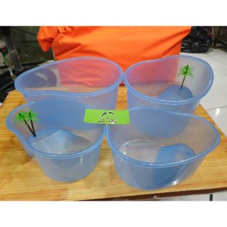 Bể nhựa nuôi Rùa mini và baby