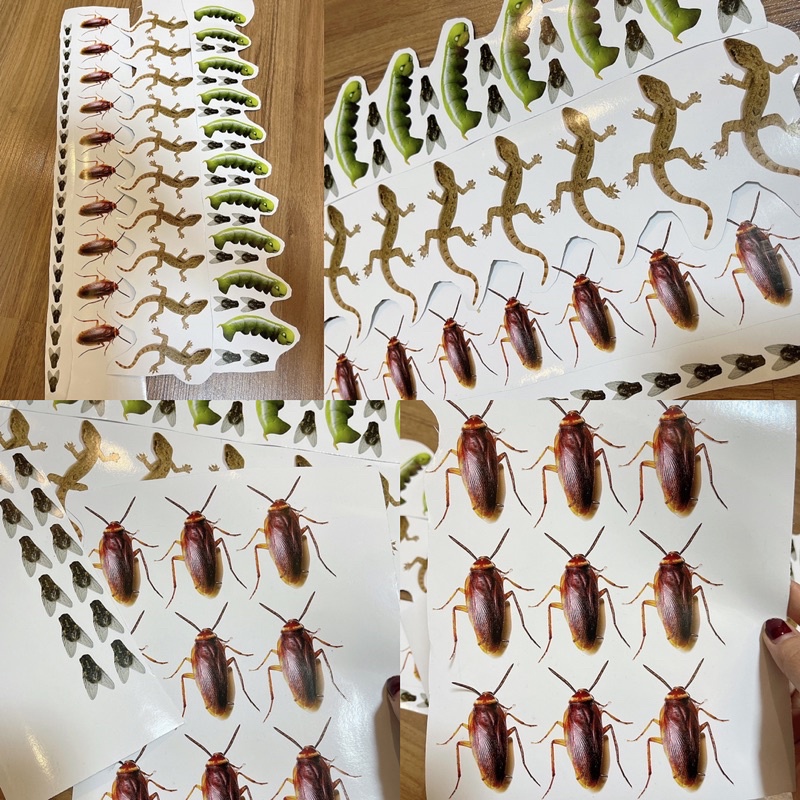 Miếng dán 3D hình con gián, thạch thùng, sâu, ruồi sticker
