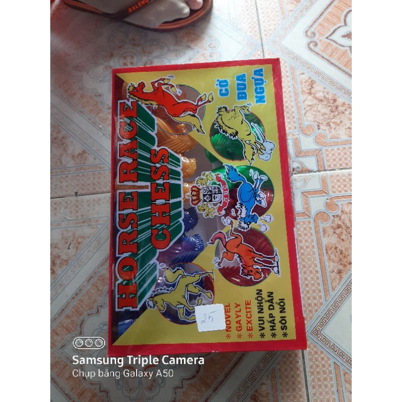 Cờ cá ngựa hộp kiếng